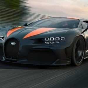 Meet your Posher, Ladonna